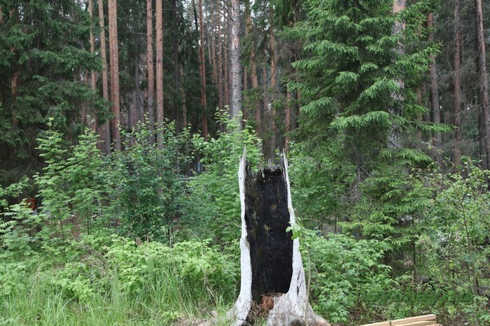 фестиваль тримурти 2012 фото, trimurtu 2012 foto