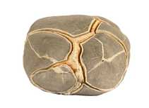 Декоративная окаменелость # 37025 камень септарии