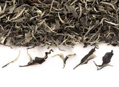 Белый чай с диких чайных деревьев Мойчай Tea Forest Project Таиланд осень 2022 bunch AU01-limited 54 kg